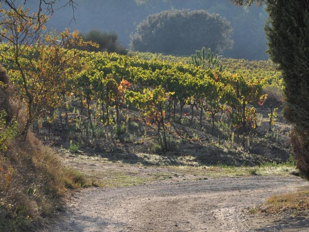 Domaine Saint Victor 호텔 La Tour-dʼAigues 외부 사진